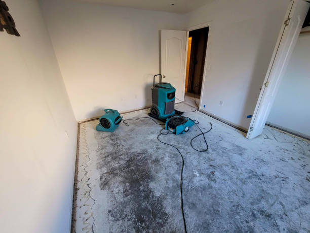 Best Ceiling water damage repair  in Hood River, OR