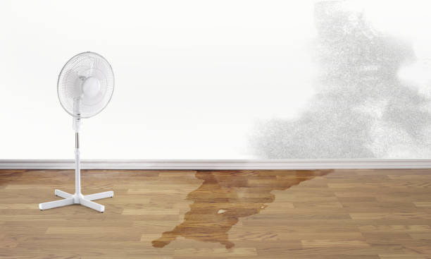 Best Flooded house restoration  in Hood River, OR