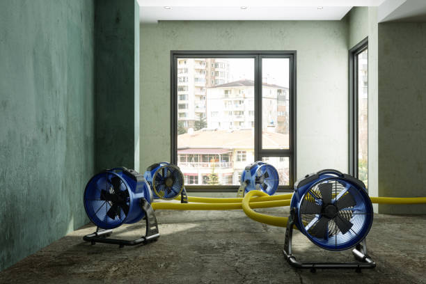 Best Water damage cleanup near me  in Hood River, OR